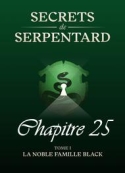 Mathilde Vouin: SECRETS DE SERPENTARDS-TOME 1 CHAPITRE 25