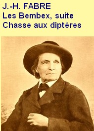 Illustration: Souvenirs entomologiques, Serie 1, 17, Les Bembex, suite - Jean-Henri Fabre