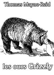 Illustration: Les Ours Grizzly - Thomas Mayne reid