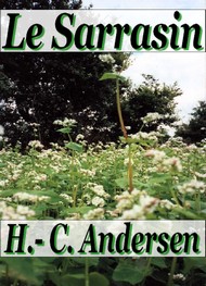 Illustration: Le Sarrasin - Hans Christian Andersen
