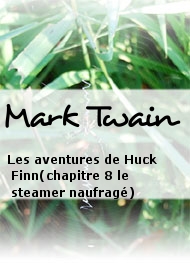 Illustration: Les aventures de Huck Finn(chapitre 8 le steamer naufragé) - Mark Twain