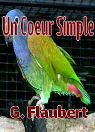 Illustration: un coeur simple - Gustave Flaubert 