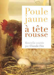 Illustration: Poule jaune à tête rousse - Claude Fee