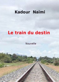 Illustration: Le Train du destin - Kadour NAÏMI