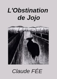 Illustration: L'Obstination de Jojo (Version 2) - Claude Fée