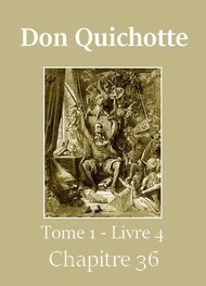 Illustration: Don Quichotte (Tome 01-Livre 04-Chapitre 36) Version 2 -