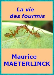 Illustration: La vie des fourmis - Maurice Maeterlinck