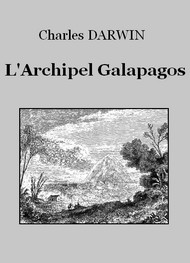 Illustration: L'Archipel Galapagos - Charles Darwin