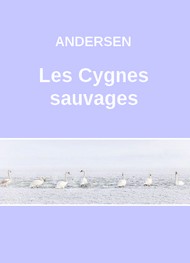 Illustration: Les Cygnes sauvages (Version 2) - Hans Christian Andersen