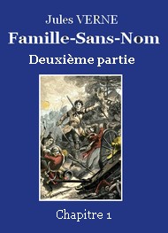 Illustration: Famille-Sans-Nom - Deuxième partie  -  Chapitre 01 - Jules Verne