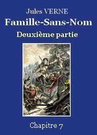 Illustration: Famille-Sans-Nom - Deuxième partie  –  Chapitre 07 - Jules Verne