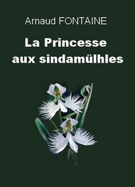 Illustration: La Princesse aux Sindamülhes - Arnaud Fontaine
