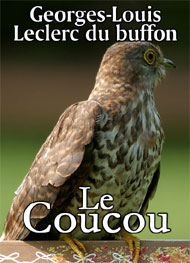 Illustration: Le coucou - Leclerc de Buffon