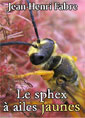 Livre audio: Jean-Henri Fabre - Le sphex à ailes jaunes