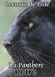 Illustration: La Panthère noire - Leconte de Lisle