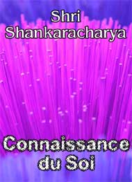 Illustration: Connaissance du Soi - shri shankaracharya