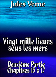 Illustration: Vingt mille lieues sous les mers Chap39-41 - Jules Verne