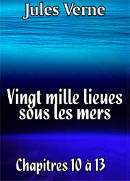 Illustration: Vingt mille lieues sous les mers Chap10-13 - Jules Verne
