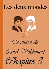 Illustration: Les Deux Mondes-Le choix de Lord Voldemort-Chapitre 3 - Alixe