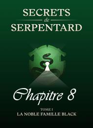 Illustration: Secrets de Serpentards-Tome 1 Chapitre 8 - Mathilde Vouin