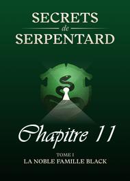 Illustration: Secrets de Serpentards-Tome 1 Chapitre 11 - Mathilde Vouin