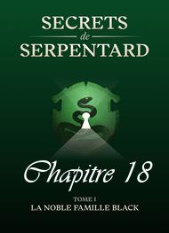 Illustration: Secrets de Serpentards-Tome 1 Chapitre 18 - Mathilde Vouin