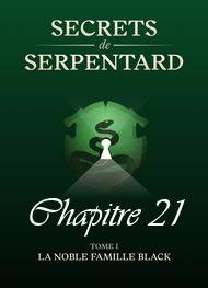 Illustration: Secrets de Serpentards-Tome 1 Chapitre 21 - Mathilde Vouin