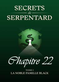 Illustration: Secrets de Serpentards-Tome 1 Chapitre 22 - Mathilde Vouin