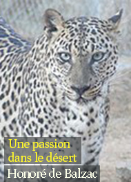 Illustration: Une passion dans le désert - Honoré de Balzac