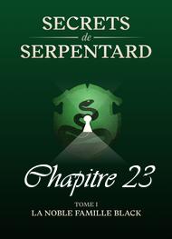 Illustration: Secrets de Serpentards-Tome 1 Chapitre 23 - Mathilde Vouin