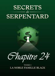 Illustration: Secrets de Serpentards-Tome 1 Chapitre 24 - Mathilde Vouin