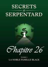 Illustration: Secrets de Serpentards-Tome 1 Chapitre 26 - Mathilde Vouin