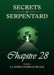 Illustration: Secrets de Serpentards-Tome 1 Chapitre 28 - Mathilde Vouin