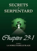 Mathilde Vouin: Secrets de Serpentards-Tome 1 Chapitre 29 partie 1