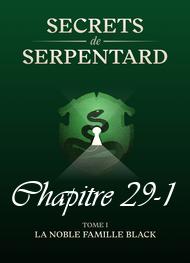 Illustration: Secrets de Serpentards-Tome 1 Chapitre 29 partie 1 - Mathilde Vouin