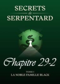 Mathilde Vouin: Secrets de Serpentards-Tome 1 Chapitre 29 partie 2