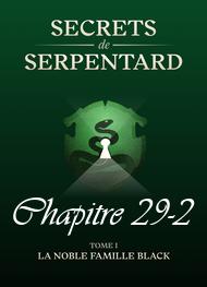 Illustration: Secrets de Serpentards-Tome 1 Chapitre 29 partie 2 - Mathilde Vouin