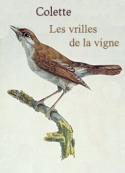 colette-les-vrilles-de-la-vigne