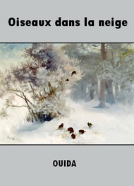 Illustration: Oiseaux dans la neige - Ouida