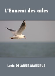 Illustration: L'ennemi des ailes - Lucie Delarue-Mardrus