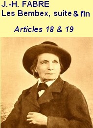 Illustration: Souvenirs entomologiques, Série 1,18 & 19, Les Bembex suite et fin - Jean-Henri Fabre