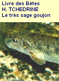 Illustration: Livre des Bêtes, Le Très sage Goujon - H. Tchedrine