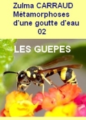Zulma Carraud: Recueil. Les Metamorphoses d’une goutte d’eau, 02, Les Guêpes