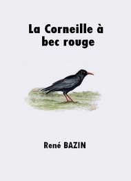 Illustration: La Corneille à bec rouge - René Bazin