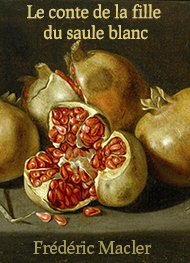 Illustration: Le conte de la fille du saule blanc - Frédéric Macler