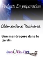 Une mandragore dans le jardin