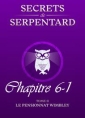 Livre audio: Mathilde Vouin - Secrets de Serpentards-Tome 2 Chapitre 6 partie 1