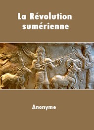 Illustration: La Révolution sumérienne - Anonyme