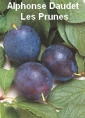 Les Prunes
