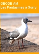 Géode am: Les Fantasmes à Gorry